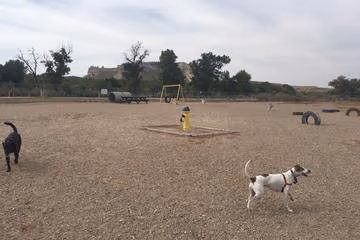Riverside Dog Park photo 2